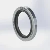Sırt Sırta+Toz Dudak PTFE Teflon Keçe